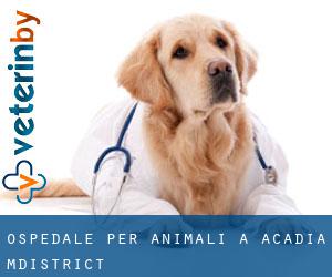 Ospedale per animali a Acadia M.District