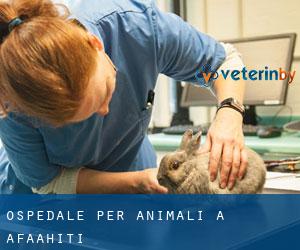 Ospedale per animali a Afaahiti
