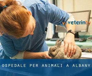 Ospedale per animali a Albany