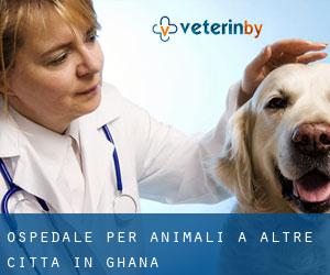 Ospedale per animali a Altre città in Ghana