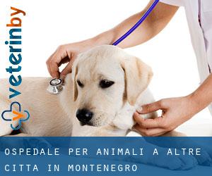 Ospedale per animali a Altre città in Montenegro