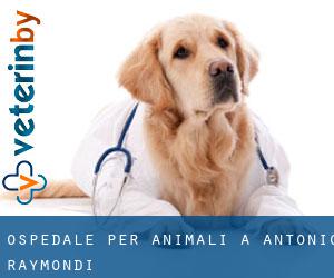 Ospedale per animali a Antonio Raymondi