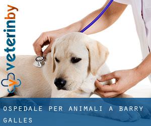 Ospedale per animali a Barry (Galles)