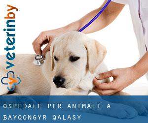Ospedale per animali a Bayqongyr Qalasy