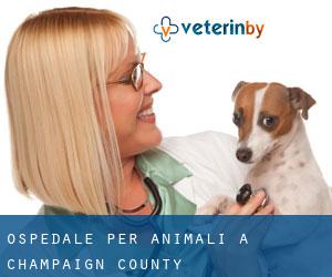 Ospedale per animali a Champaign County