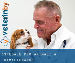 Ospedale per animali a Chimaltenango