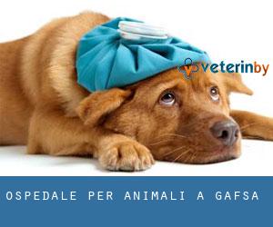Ospedale per animali a Gafsa