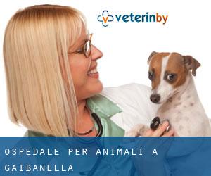 Ospedale per animali a Gaibanella