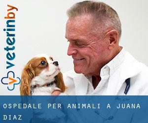 Ospedale per animali a Juana Diaz