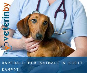 Ospedale per animali a Khétt Kâmpôt