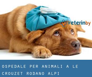 Ospedale per animali a Le Crouzet (Rodano-Alpi)