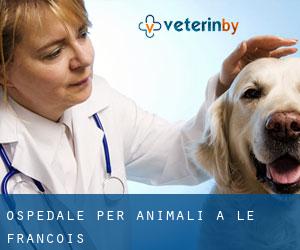 Ospedale per animali a Le François