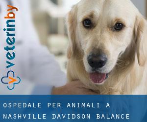 Ospedale per animali a Nashville-Davidson (balance)