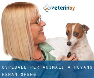 Ospedale per animali a Puyang (Henan Sheng)