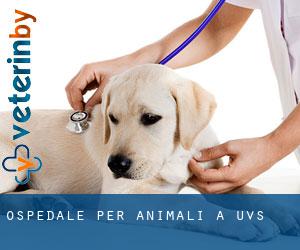Ospedale per animali a Uvs