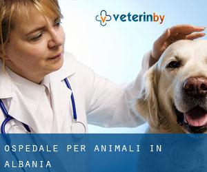 Ospedale per animali in Albania