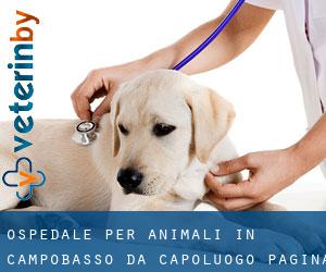 Ospedale per animali in Campobasso da capoluogo - pagina 1