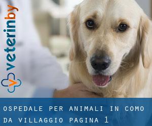 Ospedale per animali in Como da villaggio - pagina 1