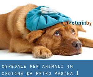 Ospedale per animali in Crotone da metro - pagina 1