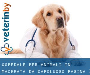 Ospedale per animali in Macerata da capoluogo - pagina 1
