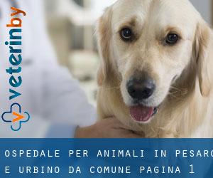 Ospedale per animali in Pesaro e Urbino da comune - pagina 1