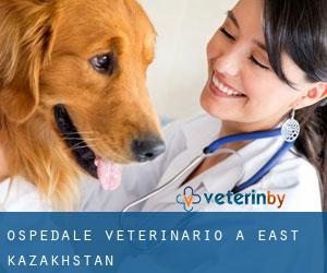 Ospedale Veterinario a East Kazakhstan