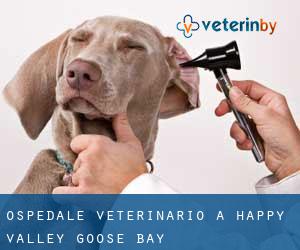 Ospedale Veterinario a Happy Valley-Goose Bay