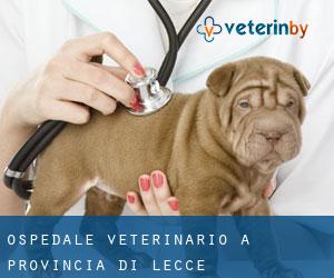 Ospedale Veterinario a Provincia di Lecce