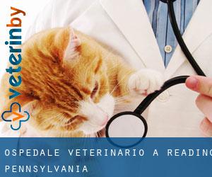 Ospedale Veterinario a Reading (Pennsylvania)