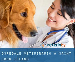Ospedale Veterinario a Saint John Island