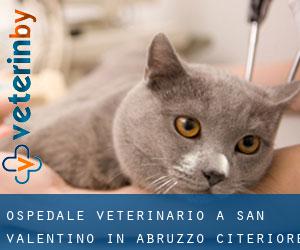 Ospedale Veterinario a San Valentino in Abruzzo Citeriore