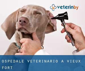 Ospedale Veterinario a Vieux-Fort