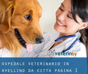 Ospedale Veterinario in Avellino da città - pagina 1