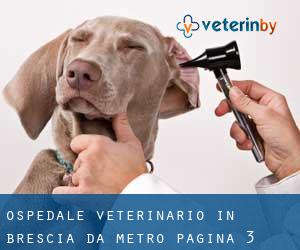 Ospedale Veterinario in Brescia da metro - pagina 3