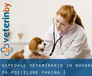 Ospedale Veterinario in Novara da posizione - pagina 1