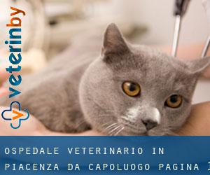Ospedale Veterinario in Piacenza da capoluogo - pagina 1