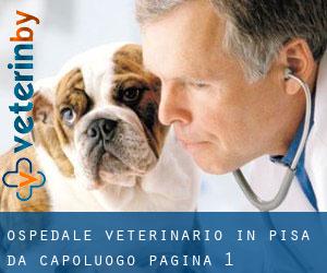 Ospedale Veterinario in Pisa da capoluogo - pagina 1