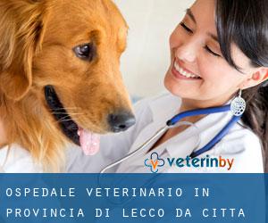 Ospedale Veterinario in Provincia di Lecco da città - pagina 1