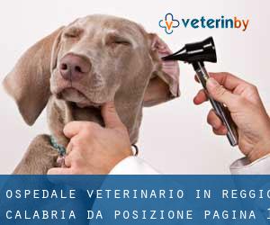 Ospedale Veterinario in Reggio Calabria da posizione - pagina 1