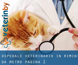 Ospedale Veterinario in Rimini da metro - pagina 1
