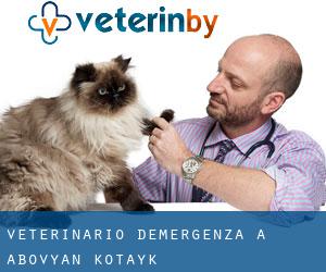 Veterinario d'Emergenza a Abovyan (Kotaykʼ)