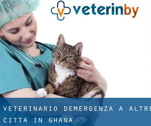 Veterinario d'Emergenza a Altre città in Ghana
