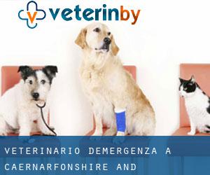 Veterinario d'Emergenza a Caernarfonshire and Merionethshire