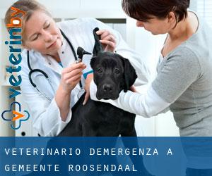Veterinario d'Emergenza a Gemeente Roosendaal