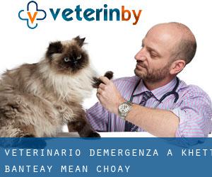 Veterinario d'Emergenza a Khétt Bântéay Méan Choăy