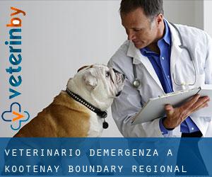 Veterinario d'Emergenza a Kootenay-Boundary Regional District