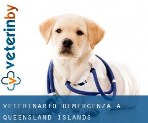 Veterinario d'Emergenza a Queensland Islands