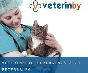Veterinario d'Emergenza a St.-Petersburg