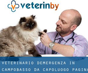 Veterinario d'Emergenza in Campobasso da capoluogo - pagina 1