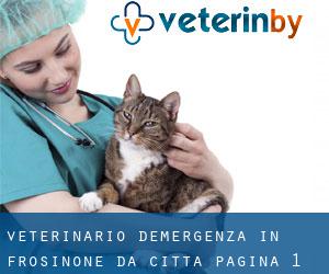 Veterinario d'Emergenza in Frosinone da città - pagina 1